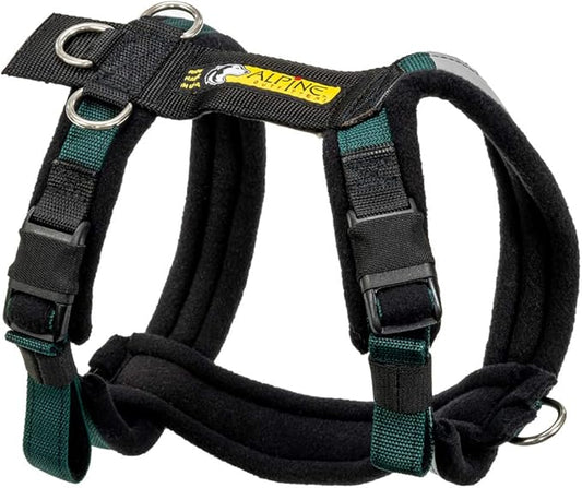 Urban Trail Adjustable Harness (Small, Teal)