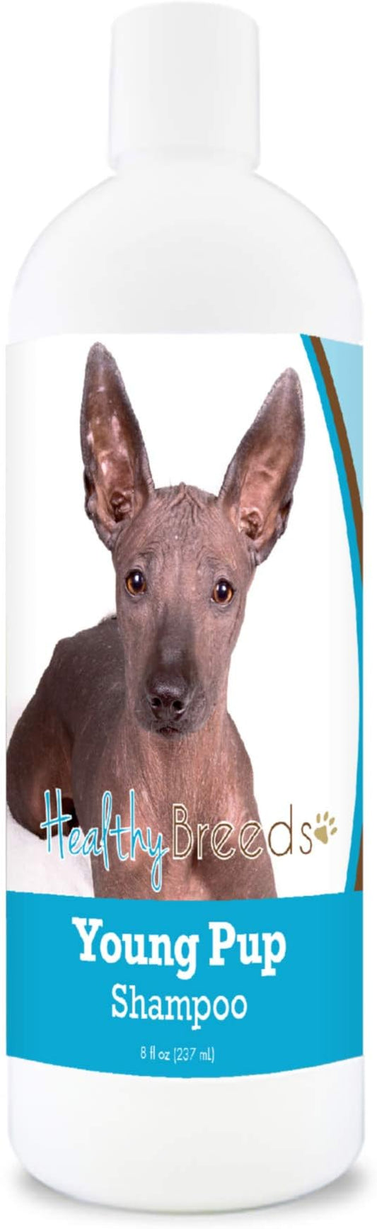 Healthy Breeds Xoloitzcuintli Young Pup Shampoo 8 oz