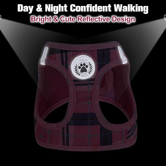 BEAUTYZOO Small Dog Harness and Leash Set,Step in No Chock No Pull Soft Mesh Dog Harnesses Reflective for Extra-Small/Small Medium Puppy Dogs and Cats, Plaid Dog Vest Harness for XS S Pets, Pink M