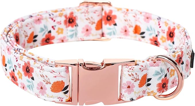Lionet Paws Dog Collar, Adjustable Cute Collar with Metal Buckle for Male Female Puppies Gift,Summer Flower, Small, Neck 10-16 inches