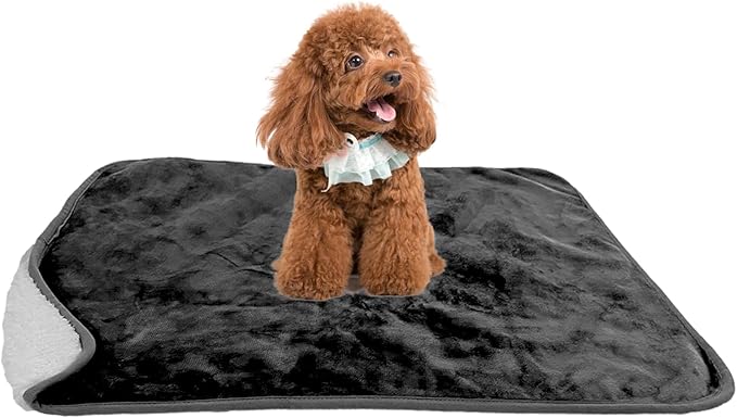 Bucephalus Waterproof Dog Blanket, Thick Reversible Soft Pet Blankets for Couch Bed Protection, Pee Proof Sherpa Fleece Blanket for Small Medium Large Dogs Puppy Cats Washable (Black, 25"×35")