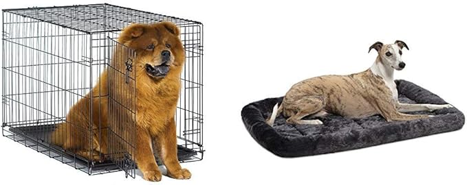 New World 36" Folding Metal Dog Crate, Fits Intermediate Dog Breeds w/Matching New World Dog Crate Bed