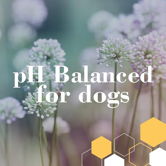 Burt's Bees for Pets Deodorizing Dog Shampoo with Apple and Rosemary, 95% Natural Origin Formulas, Dog Deodorizing Shampoo - Gentle Dog Shampoo, Best Dog Shampoo for Smelly Dogs, 16 oz