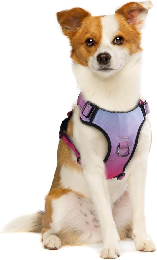 QQPETS No Pull Dog Harness with 2 Leash Clips，Adjustable Soft Padded Dog Vest, Reflective Outdoor Pet Oxford Vest with Easy Control Handle for Small to Large Dogs Walking Training