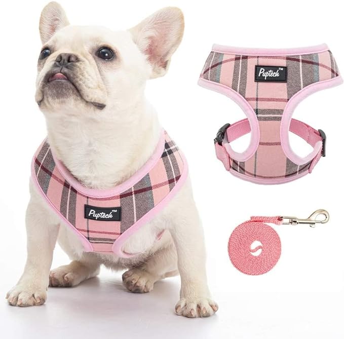 PUPTECK Soft Mesh Dog Harness and Leash Set Pet Puppy Cat Comfort Padded Vest No Pull Harnesses, Old Pink, XXS