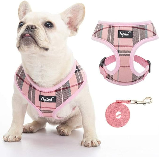 PUPTECK Soft Mesh Dog Harness and Leash Set Pet Puppy Cat Comfort Padded Vest No Pull Harnesses, Old Pink, XXS