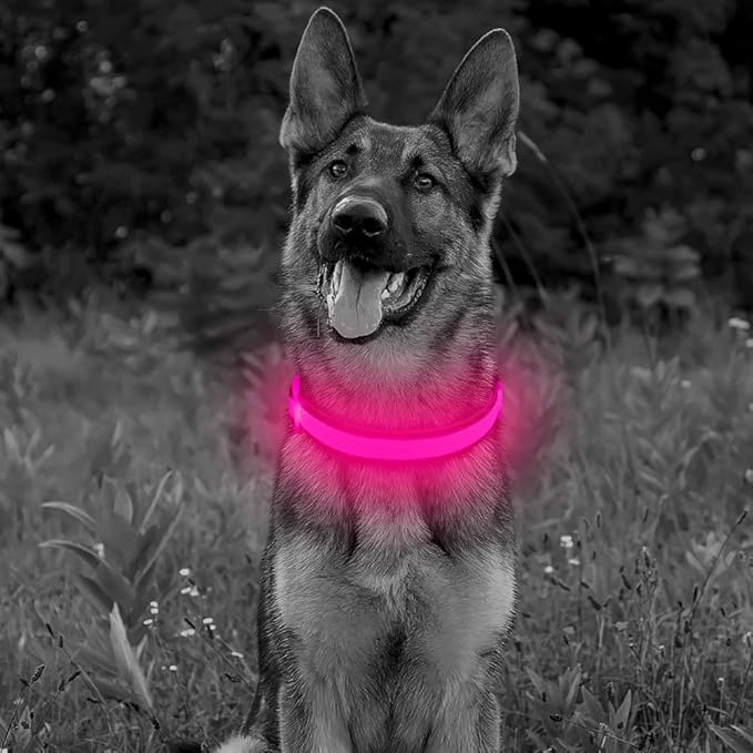 BSEEN Light Up Dog Collars - Reflective LED Dog Collar, Adjustable Puppy Collar, Rechargeable Dog Camping Gear Dog Collar Light for Small Medium Large Dogs (Large, Pink)