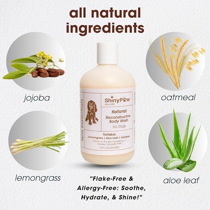 Oatmeal Shampoo for Dogs | ShinyPaw Dog Shampoo for Allergies and Itching | Controls Dog Shedding Naturally | Itchy Skin Relief for Dogs | Tearless Dog Shampoo & Conditioner Made in The USA | 16 oz