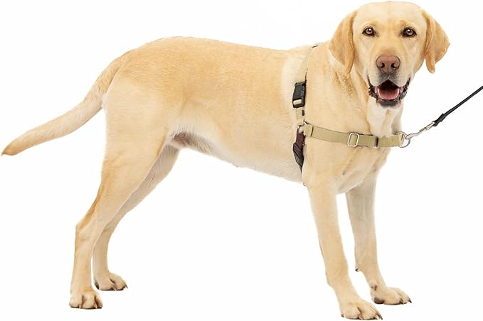 PetSafe Easy Walk No-Pull Dog Harness - The Ultimate Harness to Help Stop Pulling - Take Control & Teach Better Leash Manners - Helps Prevent Pets Pulling on Walks, Large, Fawn/Brown