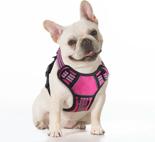 BUMBIN Dog Harness for Large Dogs, No Pull Adjustable No Choke Pet Vest with Dog Leash Fit Smart Reflective Pet Walking Harness for Training Easy Control Soft Handle Rose Red XL