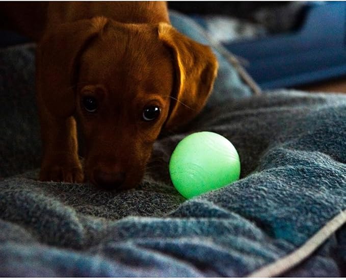 CHUCKIT Max Glow Balls, Small