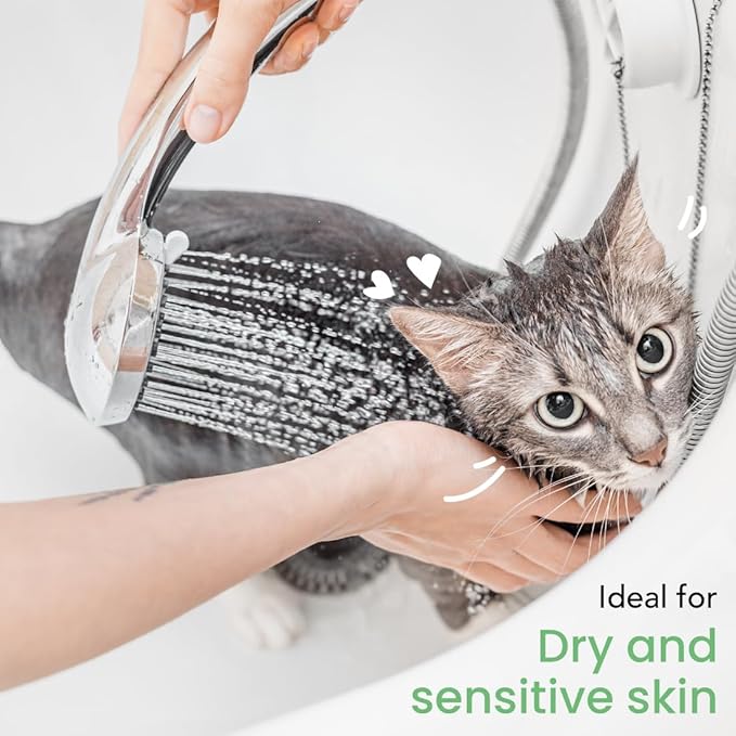 Best Shot Scentament Spa Oatmeal Body Wash, Lemon Vanilla, 1 Gallon