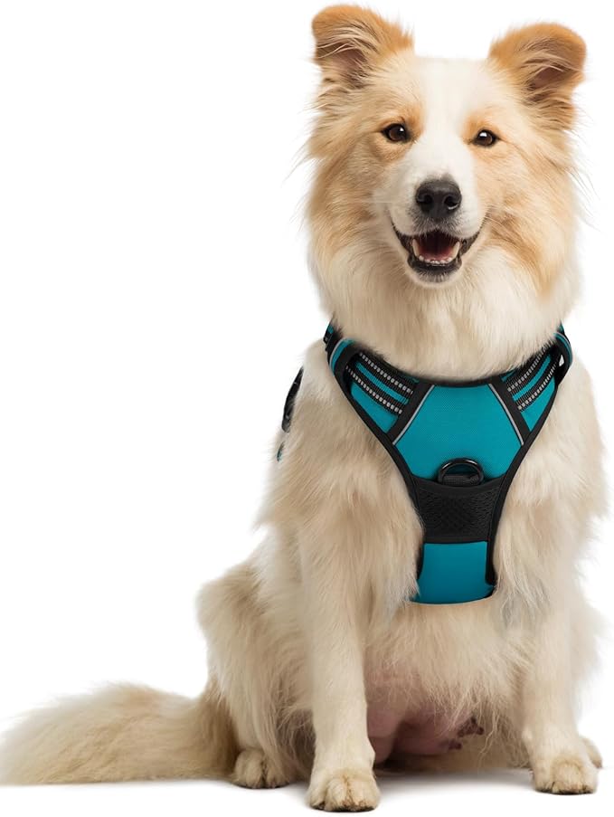 rabbitgoo Dog Harness, No-Pull Pet Harness with 2 Leash Clips, Adjustable Soft Padded Dog Vest, Reflective No-Choke Pet Oxford Vest with Easy Control Handle for Large Dogs, Teal, M