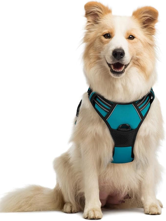 rabbitgoo Dog Harness, No-Pull Pet Harness with 2 Leash Clips, Adjustable Soft Padded Dog Vest, Reflective No-Choke Pet Oxford Vest with Easy Control Handle for Large Dogs, Teal, M