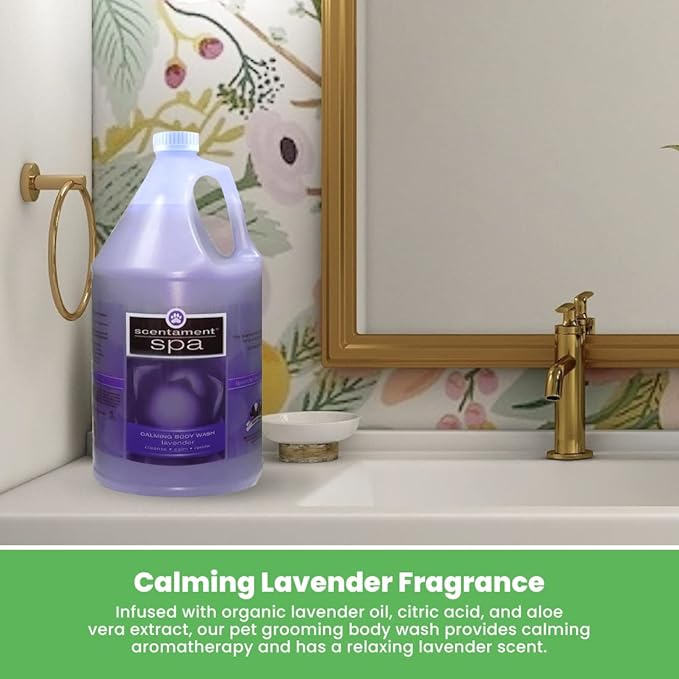 Best Shot Scentament Spa Calming Body Wash, Lavender Aloe, 1 Gallon