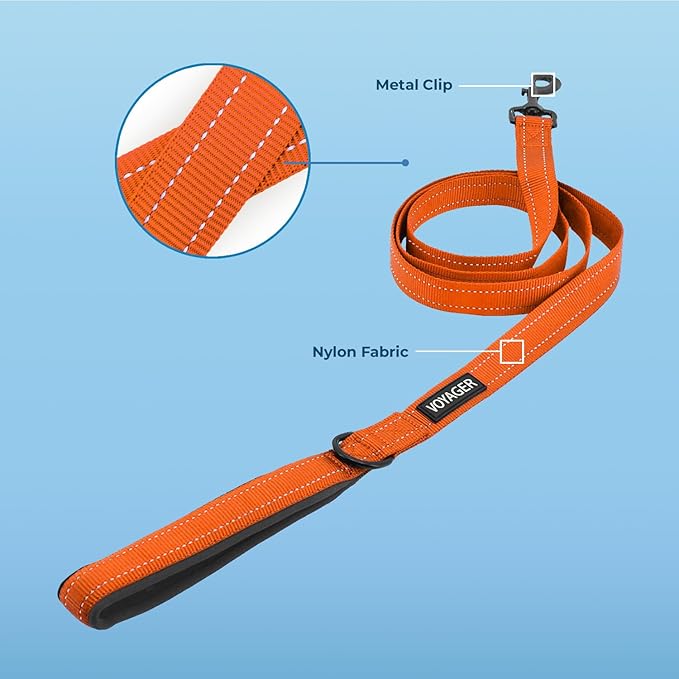 Voyager Reflective Dog Leash Collar Set with Neoprene Handle Supports Small, Medium, and Large Breed Puppies, Cute and Heavy Duty for Walking, Running, and Training - Orange, S