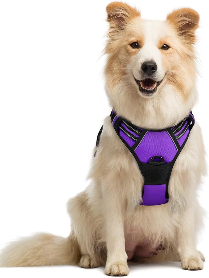 rabbitgoo Dog Harness, No-Pull Pet Harness with 2 Leash Clips, Adjustable Soft Padded Dog Vest, Reflective No-Choke Pet Oxford Vest with Easy Control Handle for Medium Dogs, Purple, M