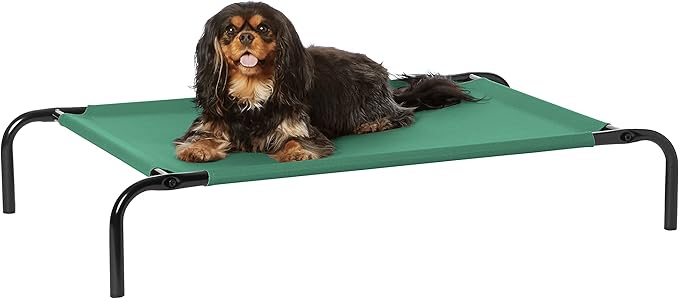 Amazon Basics Cooling Elevated Pet Bed, Small (36 x 22 x 7.5 Inches), Green