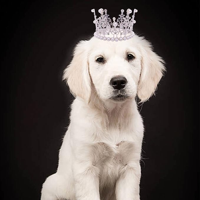 PET SHOW 2pcs Large Dog Crown Headband Sheep Big Pet Hat for Birthday Party Silver Gold Rhinestone Faux Pearl Crown for Boy Girl Wedding Hair Accessories Photo Prop Costume