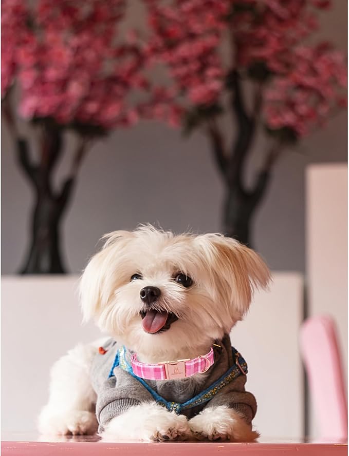 Lionheart glory Valentine's Day Collar, Pink Plaid Dog Collar for Large Cute Dog Collars Spring Female Pet Gift Adjustable Heavy-Duty Dog Collar Holiday