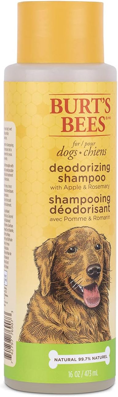 Burt's Bees for Pets Deodorizing Dog Shampoo with Apple and Rosemary, 95% Natural Origin Formulas, Dog Deodorizing Shampoo - Gentle Dog Shampoo, Best Dog Shampoo for Smelly Dogs, 16 oz