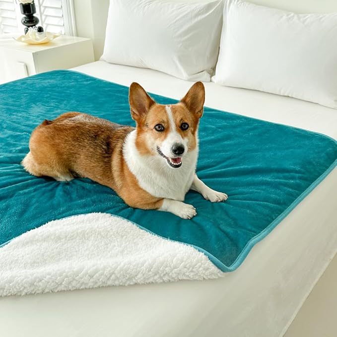Bucephalus Waterproof Dog Blanket, Thick Reversible Soft Pet Blankets for Couch Bed Protection, Pee Proof Sherpa Fleece Blanket for Small Medium Large Dogs Puppy Cats Washable (Teal, 30"×40")