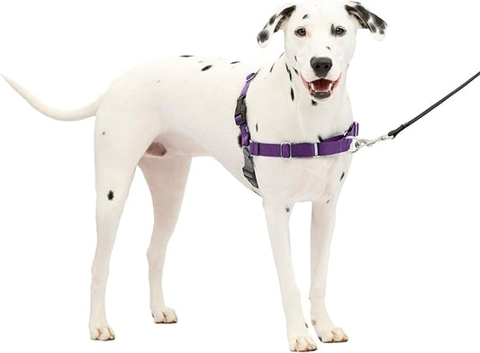 PetSafe Easy Walk No-Pull Dog Harness - The Ultimate Harness to Help Stop Pulling - Take Control & Teach Better Leash Manners - Helps Prevent Pets Pulling on Walks, Medium/Large, Deep Purple/Black