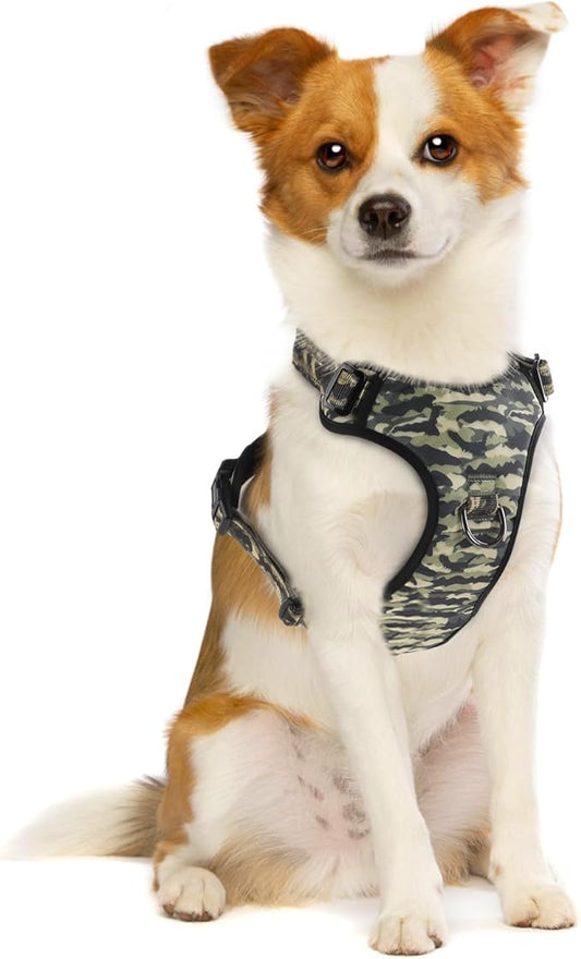 QQPETS No Pull Dog Harness with 2 Leash Clips，Adjustable Soft Padded Dog Vest, Reflective Outdoor Pet Oxford Vest with Easy Control Handle for Small to Large Dogs Walking Training