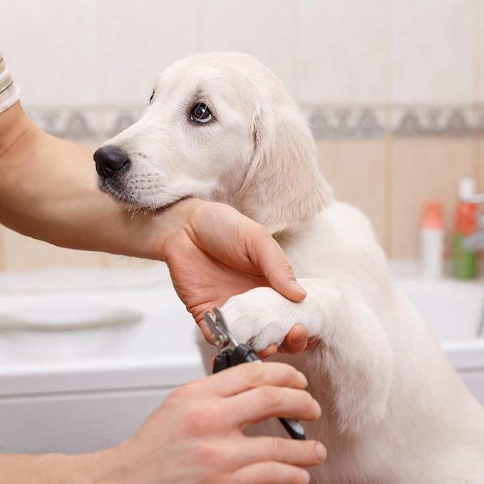 9 Pcs Dog Nail Clippers Bulk Pet Nail Clippers, Dog Toenail Clippers Dog Nail Trimmer Dog Clippers for Grooming Nails Dog Claw Care for Small Medium Dogs