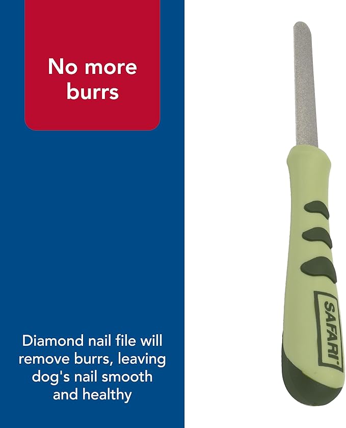 Coastal Pet Safari Dog Diamond Nail File - Diamond Finish for Smooth Nails - Removes Burs from Outdoor & Indoor Dogs - One Size