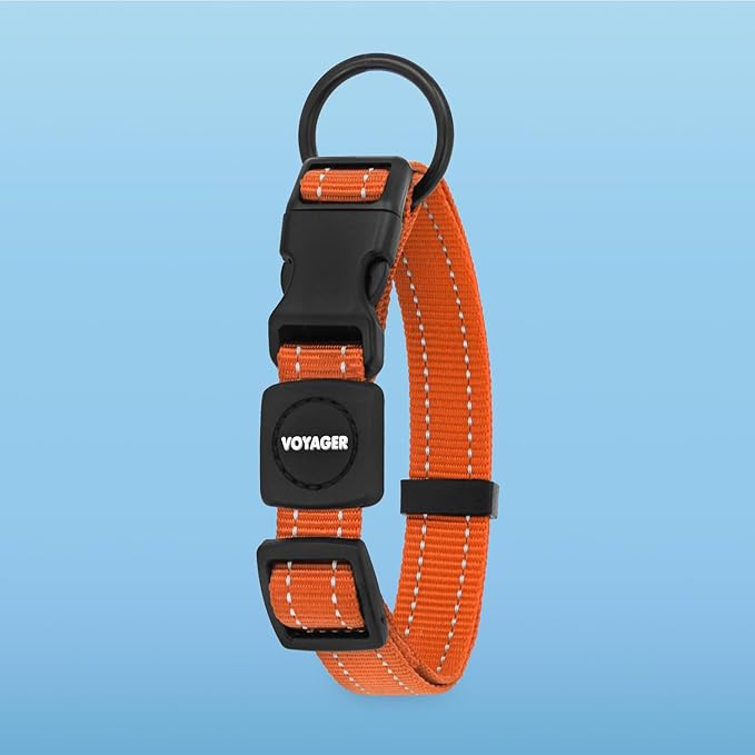 Voyager Reflective Dog Leash Collar Set with Neoprene Handle Supports Small, Medium, and Large Breed Puppies, Cute and Heavy Duty for Walking, Running, and Training - Orange, S