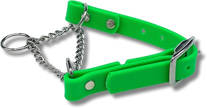 Martingale Collar for Dogs, Biothane, Stainless Steel Hardware, No Pull, Made in The USA, Professional Grade, XS, Green