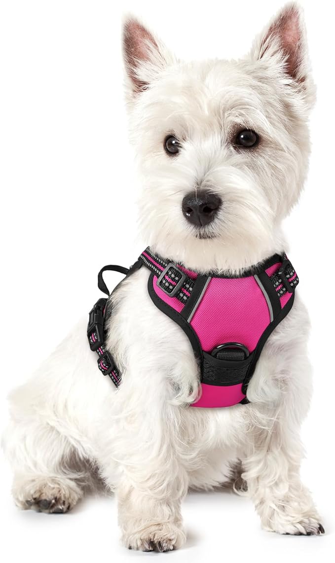rabbitgoo Dog Harness, No-Pull Pet Harness with 2 Leash Clips, Adjustable Soft Padded Dog Vest, Reflective No-Choke Pet Oxford Vest with Easy Control Handle for Small Dogs, Hot Pink, XS