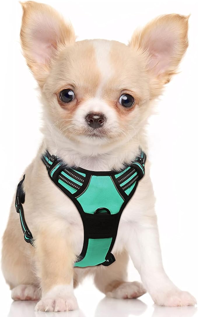 rabbitgoo Dog Harness, No-Pull Pet Harness with 2 Leash Clips, Adjustable Soft Padded Dog Vest, Reflective No-Choke Pet Oxford Vest with Easy Control Handle for Small Dogs, Turquoise, S