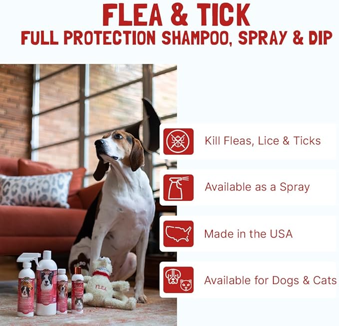 Bio-Groom Flea & Tick Dog Shampoo – Flea and Tick Prevention for Dogs, Cat Flea Treatment, Cruelty-Free, Made in USA, Natural Tick Repellent, Protein-Lanolin Shampoo – 5 Gallons