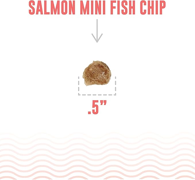 Icelandic+ Mini Fish Chips: Salmon 9oz - Dog Treats, for Training & Small Dogs, 2 Ingredient Air-Dried Crunchy Chips