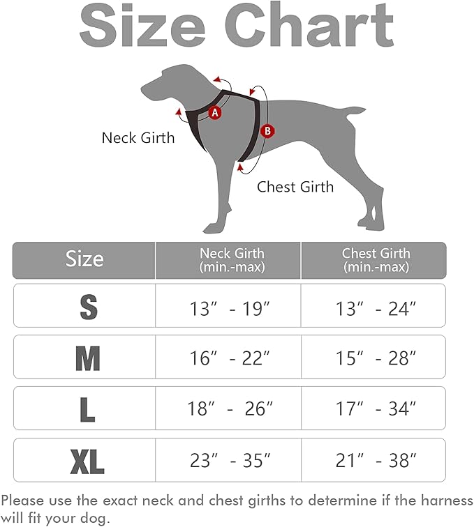 rabbitgoo Dog Harness, No-Pull Pet Harness with 2 Leash Clips, Adjustable Soft Padded Dog Vest, Reflective No-Choke Pet Oxford Vest with Easy Control Handle for Large Dogs, Grey, XL