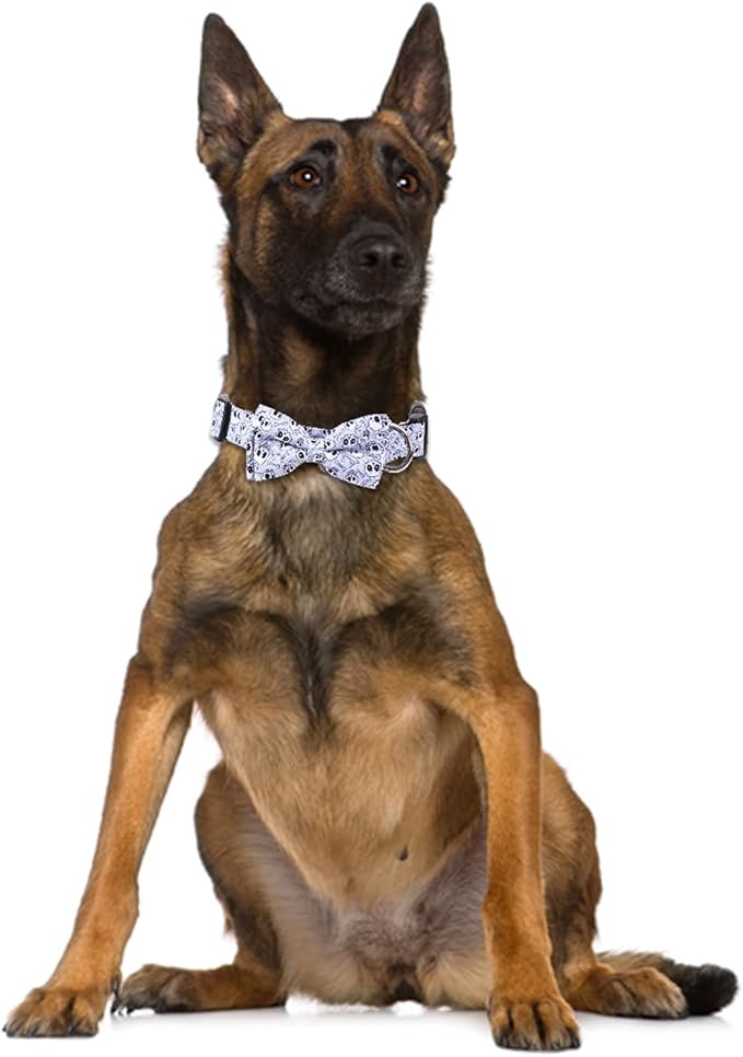 Halloween Dog Collar with Removable Cute Bow Tie Adjustable Pet Collars Medium