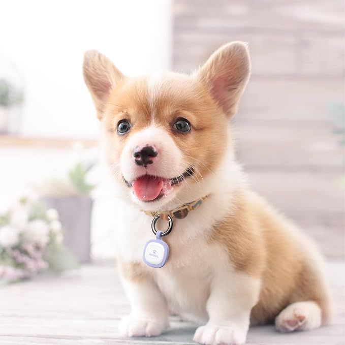 Pawaii QR Code Pet ID Tag, Dog Tag with QR Code, Silent Silicone Dog ID Tag, Modifiable Pet Online Profile, Free Online Pet Page Emergency Contact, 1Pack (Pink)