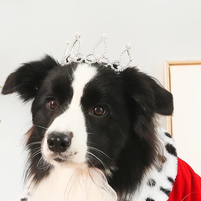 Lovelyshop Pet Series Silver Plated Royal Rhinestone Pearl Full Round Dog/Cat Crown for Rolyal Family Costume Hair Accessories-Large Size
