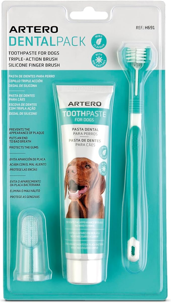ARTERO Dental Pack Smile