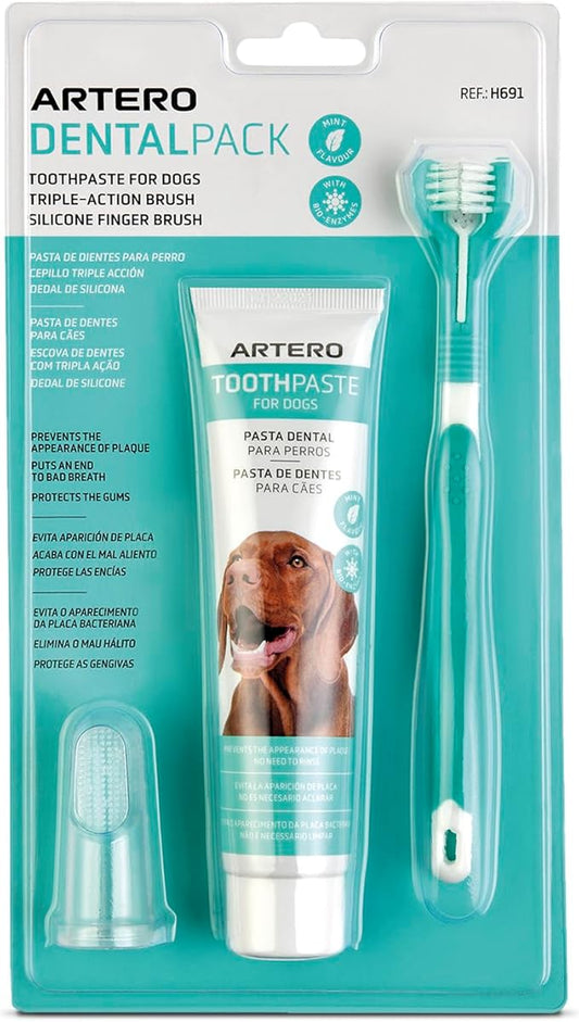 ARTERO Dental Pack Smile