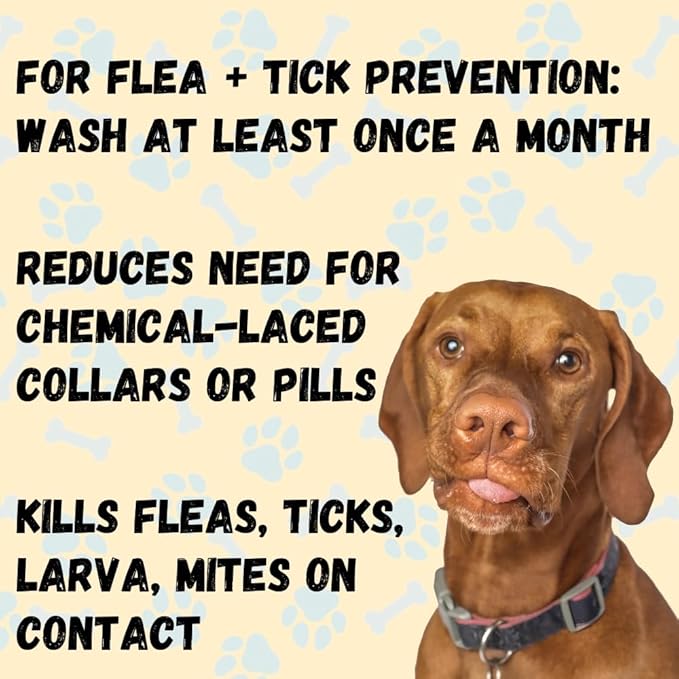 Pet Flea & Tick Treatment Shampoo, Coat Armor - 100% Organic, All-Natural & Non-Toxic to Pets. Fast Relief for Dry, Itchy, Sensitive Skin. Tearless, Odor Controlling, Lavender, Made in USA 16oz
