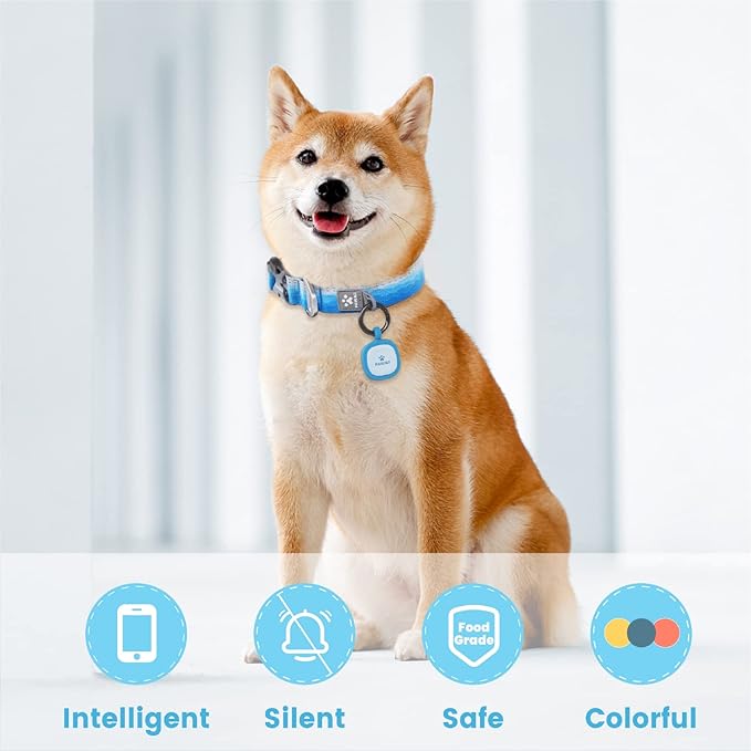 Pawaii QR Code Pet ID Tag, Silent Silicone Dog ID Tag, Modifiable Pet Online Profile, Free Online Pet Page Emergency Contact, Scan QR Receive Instant Pet Location Alert Email, 1Pack (Sky Blue)