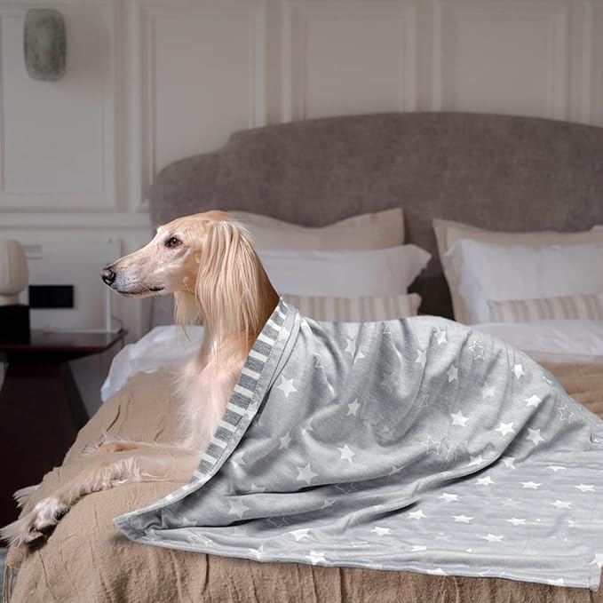 ARGOPET Dog Cooling Blanket 28 * 21inch Lightweight Self Cooling Blanket Bed Cover for Dog Cat Summer Blanket &Ice Silk Cooling Pet Blanket Throw Blanket for Kennel Sofa