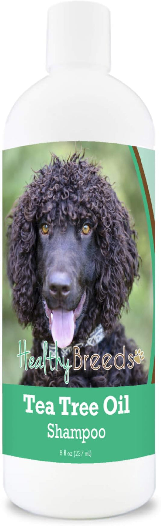 Healthy Breeds Irish Water Spaniel Tea Tree Oil Shampoo – Formulated for Dry, Irritated Skin – Reduce Dandruff – Wintergreen Scent – 8 oz