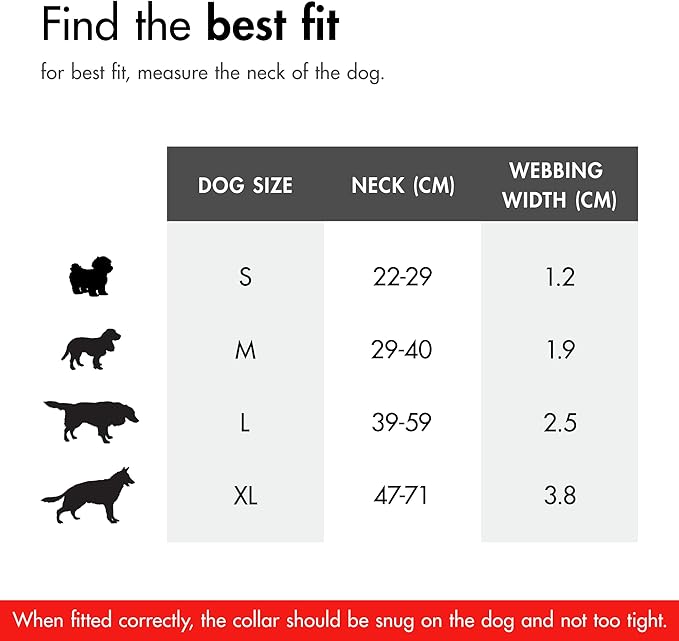 EzyDog Double Up Premium Nylon Dog Collar - Double D-Rings for Superior Strength, Safety, and Comfortability - Non-Rusting and Includes an ID Attachment (Small, Denim)