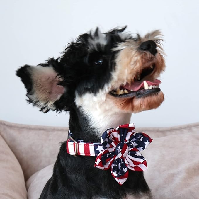 Lionet Paws Patriotic Female Dog Collar with Flower, 4th of July, Soft and Comfortable Adjustable American Flag Collar for Puppies and Cats, XS, Neck 8-12 inches