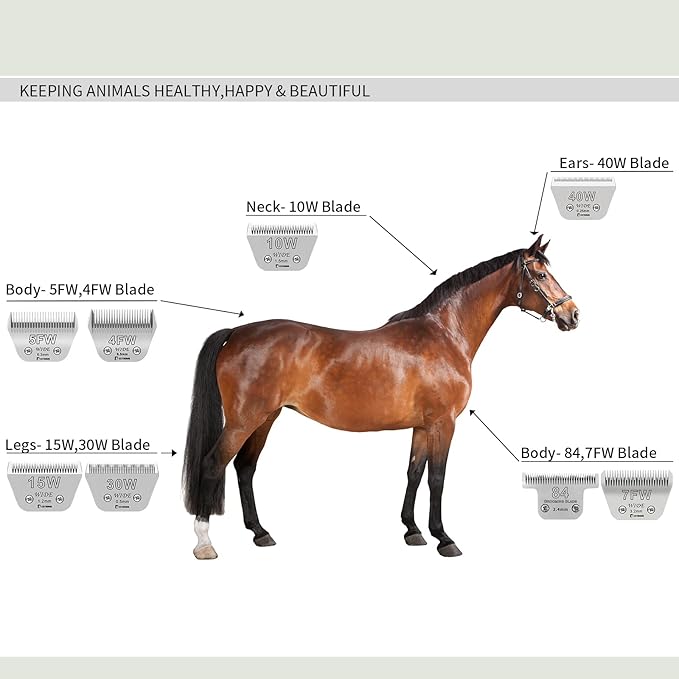 BESTBOMG Size 7FW Wide Detachable Pet Dog Grooming Blades-Cutting Length 1/8"（3.2mm）,Compatible with Andis,Oster A5,Wahl km10 Clippers