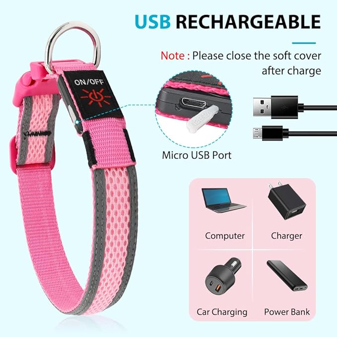 BSEEN Light Up Dog Collar - Glow in The Dark LED Dog Collar Rechargeable, Reflective Puppy Collar, Dog Camping Gear Dog Collar Light for Night Walking (Medium, Pink Ⅱ)